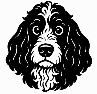 🎶🐶 Perros, música y recuerdos que suenan para siempre 🎁